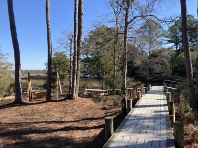 Ramp to the kayak launch alongside pine straw covered ground